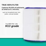JUMEIYP Hepa Filter Compatible with Dyson PH02 HP06 TP06 Air Purifier，2 in 1（True HEPA+Carbon Filter Set） for Dyson TP06 HP06 PH02 Pure Cool Hot Humidify Cryptomic Tower Fan