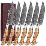 HEZHEN 6PCS Kitchen Knife Set Professional Forged Damascus High Carbon Steel Steak Knife Figured Sycamore Wood Handle-Porcelain Gift Package