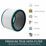 True HEPA Replacement Filter for Dyson Purifiers 2 Pack Compatible with HP01 HP02 DP01 DP02 Models