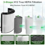 PINREK 2-Pack 2 in 1 H13 True HEPA Replacement Filter for Dyson TP04/06/07/09, HP04/06/07/09, PH03 Air Purifier & Fan – 360° Combi HEPA & Activated Carbon Pure Air for Dust Allergens Odors