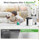 PINREK 2-Pack 2 in 1 H13 True HEPA Replacement Filter for Dyson TP04/06/07/09, HP04/06/07/09, PH03 Air Purifier & Fan – 360° Combi HEPA & Activated Carbon Pure Air for Dust Allergens Odors