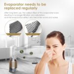 1 Pack 2-IN-1 Dyson Air Purifier Filter Replacement, Orange Carbon Fiber Air Humidifier Filter Replacement for Dyson Air Purifier Humidifier PH01 PH02 PH03 PH04 PH3A