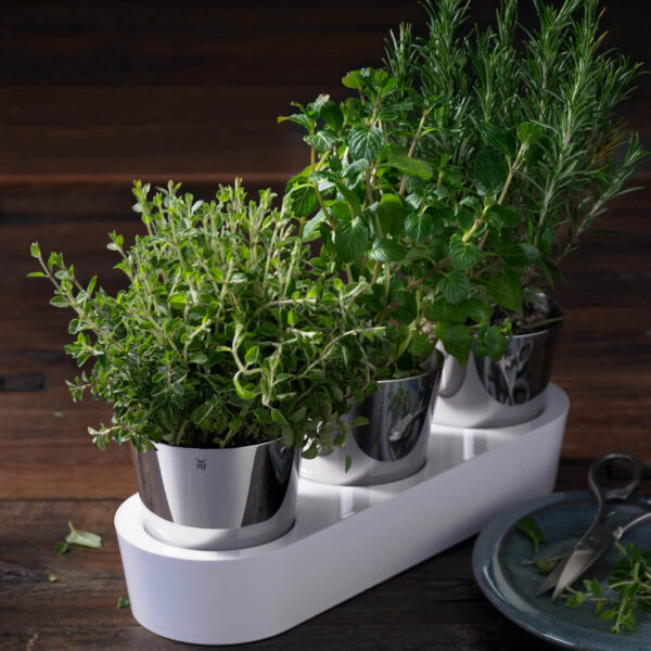 گلدان 3 عددی دبلیو ام اف مدل WMF Herb garden 3pcs - تصویر 3