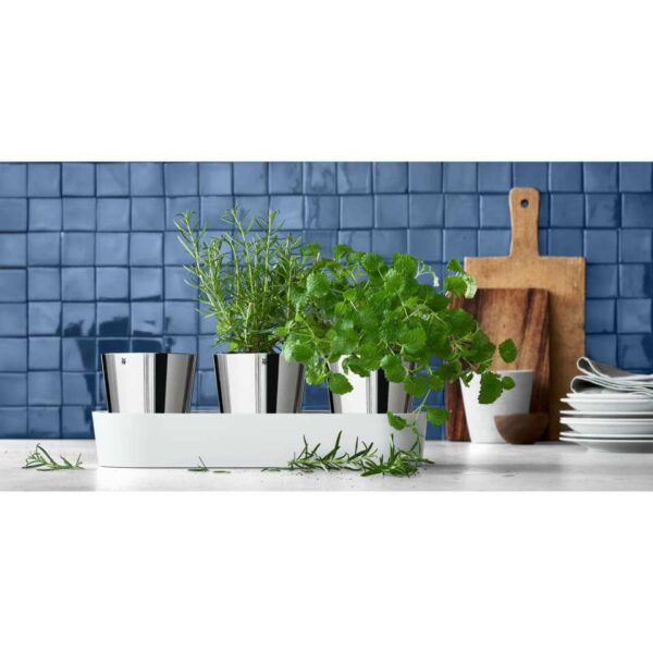 گلدان 3 عددی دبلیو ام اف مدل WMF Herb garden 3pcs - تصویر 4