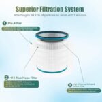 Air Purifier Filter Compatible with Dyson HP01 HP02 HP03 DP01 DP03 Air Purifier, True HEPA Air Purifier Replacement Filter and Activated Carbon Filter. 2 Pack
