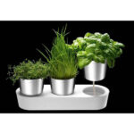 گلدان 3 عددی دبلیو ام اف مدل WMF Herb garden 3pcs - تصویر 6