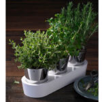گلدان 3 عددی دبلیو ام اف مدل WMF Herb garden 3pcs - تصویر 9