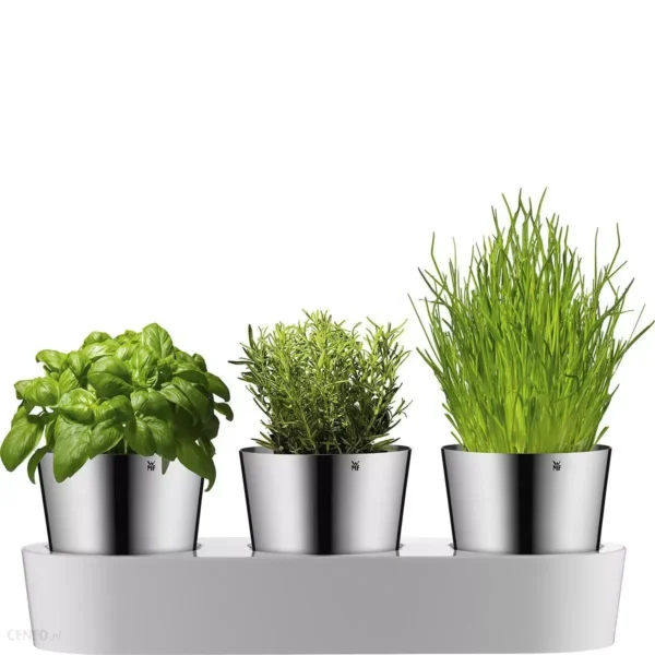 گلدان 3 عددی دبلیو ام اف مدل WMF Herb garden 3pcs - تصویر 10