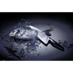 چاقو آشپزخانه دبلیو ام اف مدل WMF CHEF´S EDITION wide blade 20 cm - تصویر 8