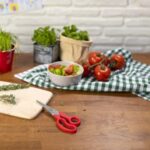 قیچی کن ریکن مدل KUHN RIKON Household