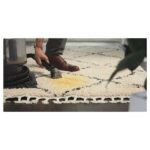 لکه بر فرش و مبل شوی بیسل مدل Bissell 31149 Bark bath - تصویر 5