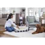 فرش و مبل شوی بیسل مدل Bissell PowerClean 2X 3878K - تصویر 2