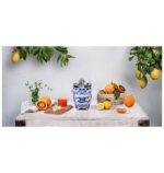آب مرکبات گیری دولچه گابانا اسمگ مدل Smeg CJF01DG - تصویر 6